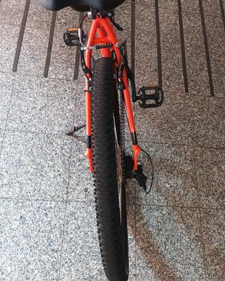 bicicletta