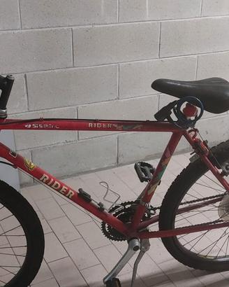 Biciclette MTB 26