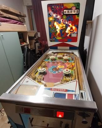 flipper anni 70
