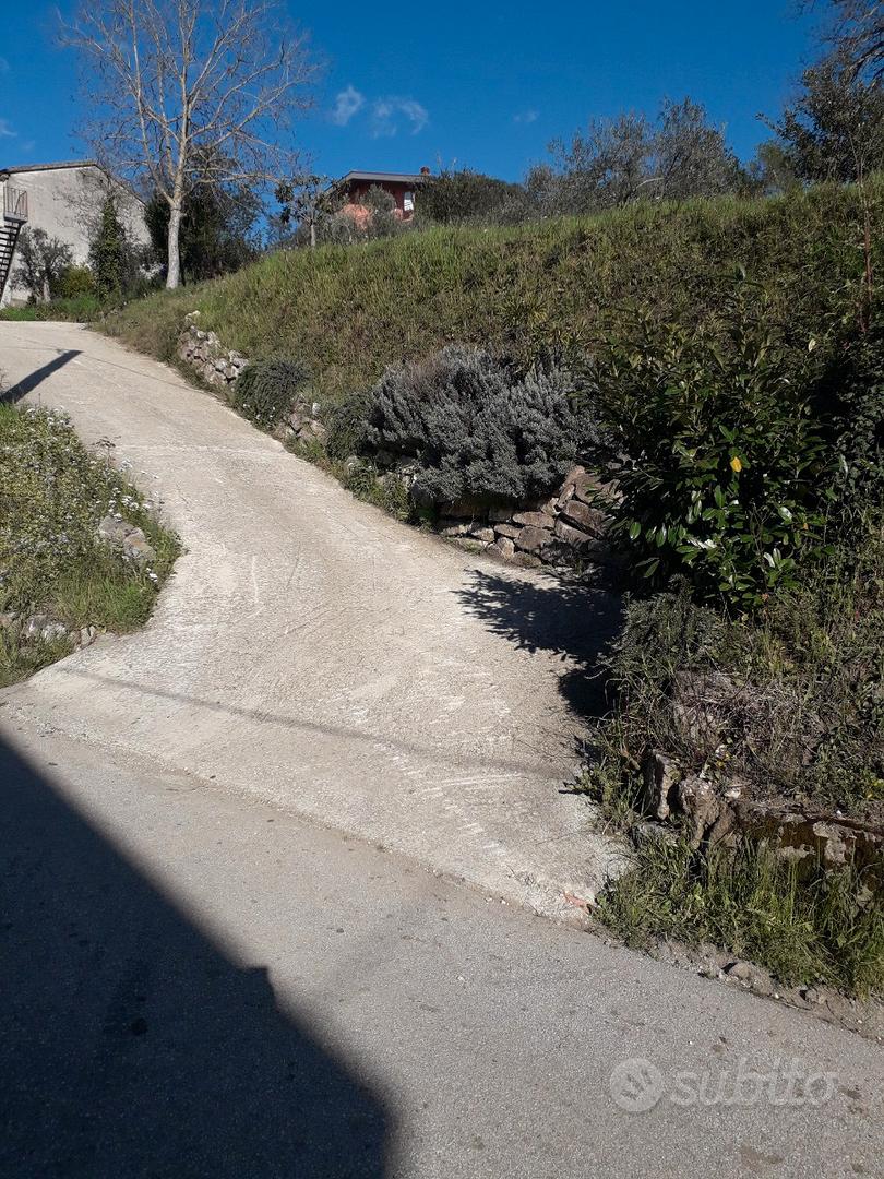 Terreno con uliveto - Vista 6