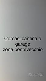 Garage o cantina