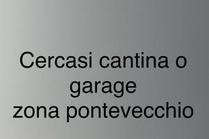 Garage o cantina