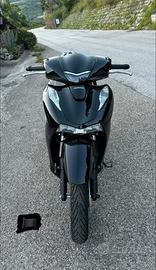 sh 125 2024