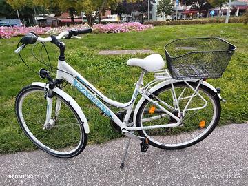 bicicletta da Passat 