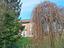 Immagine 5