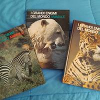 I grandi enigmi del mondo animale