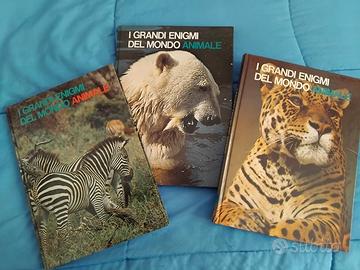I grandi enigmi del mondo animale