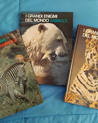I grandi enigmi del mondo animale