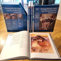 Thiel - Atlante Fotografico di Anatomia Chirurgica