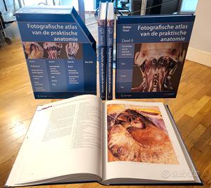 Thiel - Atlante Fotografico di Anatomia Chirurgica