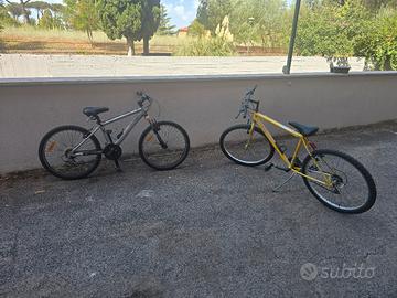 2 bici mountain bike