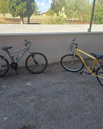 2 bici mountain bike