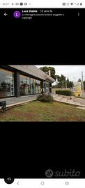 Garage posti auto/moto cantinole nuova apertura