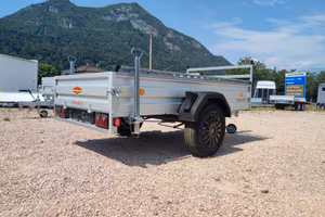 Carrello rimorchio auto mono 2515 X 1300