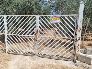 Uliveto molto produttivo in c.da MIOLA + deposito