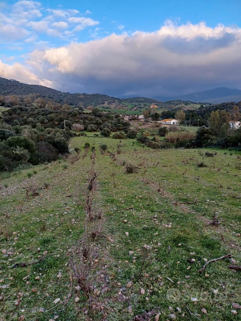 per camping/vacanze - Vista 3