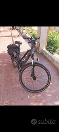 Bicicletta elettrica