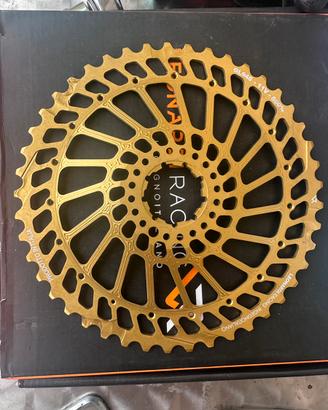 Pignone Leonardi 45t 11v ricambio Nuovo