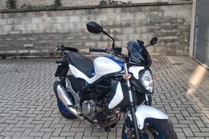 Suzuki Gladius 650 2015