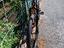 Immagine 5