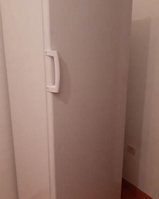 Congelatore verticale