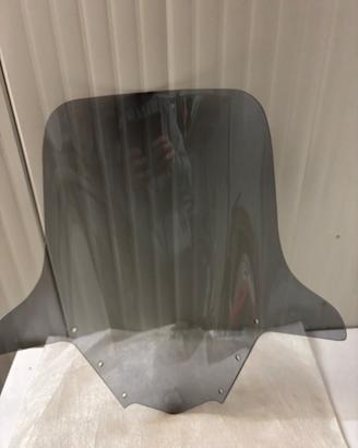 Parabrezza Yamaha FZ1 Fazer 1000 dal 2006