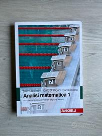 Analisi matematica 1. Con elementi di algebra line