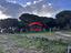 Immagine 7