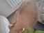 Immagine 5