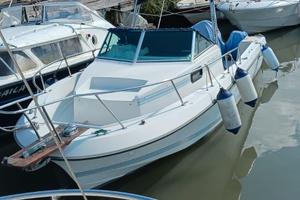 Chris Craft Sea Hawk 216