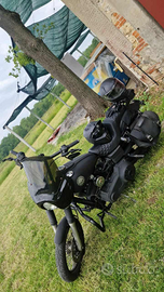 Dyna street bob club style