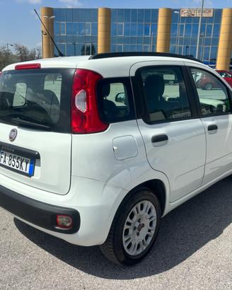 Fiat Panda 1.2 EasyPower Easy