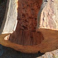 tronco cavo per fioriera