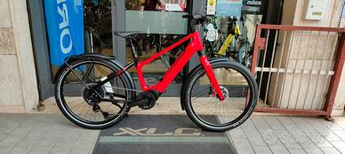 Winora IridePure X10 