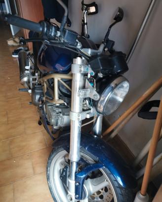 Ducati Monster 600