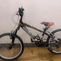 Bici da ragazzo