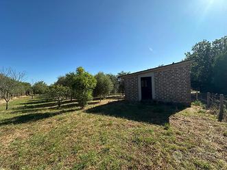 Terreno Agricolo Nepi [Cod. rif 3249415VRG]