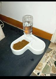  Distributore di acqua più cibo 50 e tutti 22pezzi
