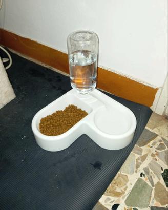  Distributore di acqua più cibo 50 e tutti 22pezzi