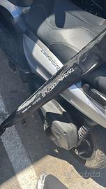 Canna daiwa  legalis