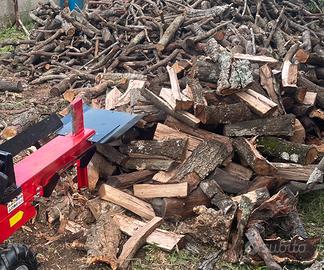 LEGNA DA ARDERE (Leccio e olivastro )