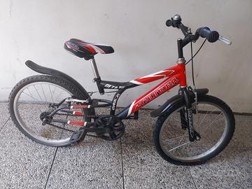bicicletta