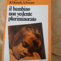 Il bambino non vedente pluriminorato 