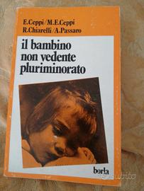 Il bambino non vedente pluriminorato 