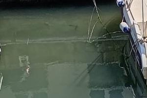 Ormeggio 2,3 x 6,5 con telecamere, acqua, luce