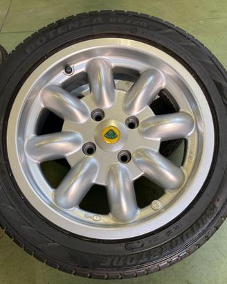 Minilite 15X6