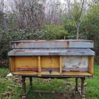 Api Arnia a tre scomparti