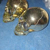 Teschi da arredamento