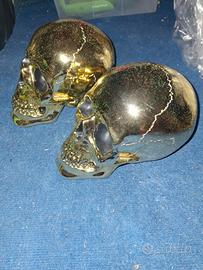 Teschi da arredamento