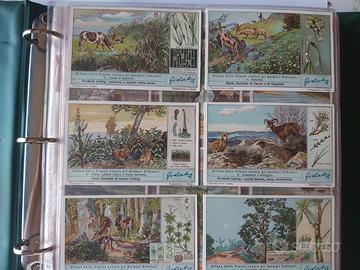 Album figurine Liebig anni 1937-1939